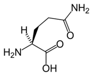 L-glutamina en la dieta cetogénica